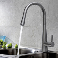 ISABELLA Deluxe Gooseneck Pull-Out Kitchen Mixer, Brushed Nickel
